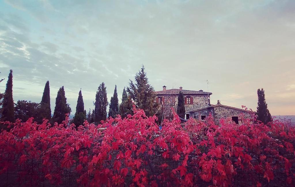 Casa Al Maestro B&B Radicofani Luaran gambar