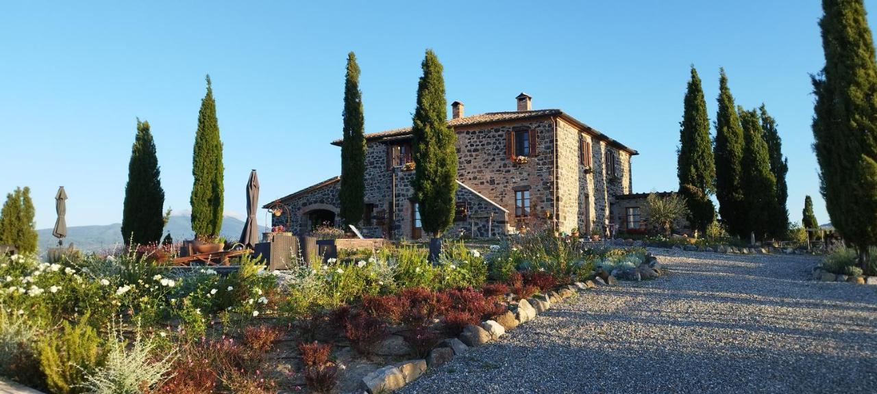 Casa Al Maestro B&B Radicofani Luaran gambar