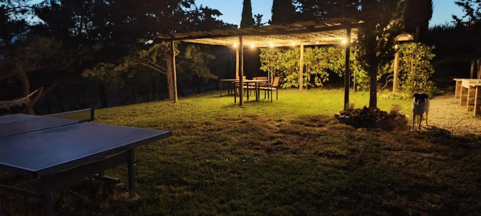 Casa Al Maestro B&B Radicofani Luaran gambar
